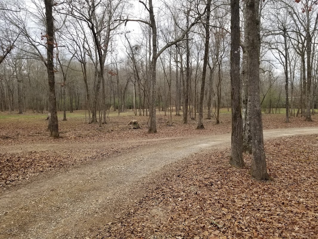 Crystal Forest Venue & Cottages photo 1